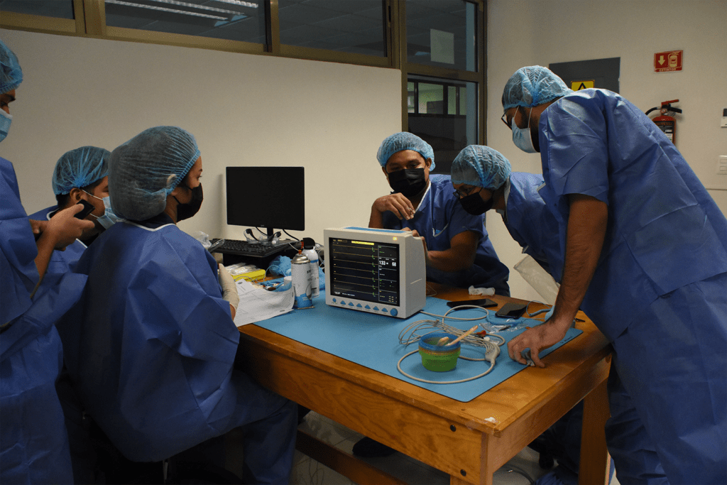 Licenciaturas en UPQROO